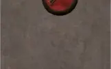 conta albion 1Bilhao FAMA PVP