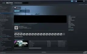 Conta steam LVL 25, Muitos jogos barato