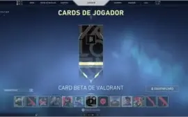 Conta valorant beta completa + skins