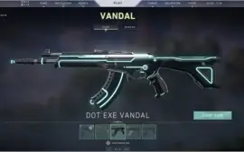 Conta Valorant - Muitas Skins - R$1346 investidos