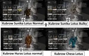🔔 Destaque: Warframe Maestria 28 + Kubrows Bulky Lotus 🔔