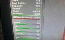 ROYAL PALADIN 241 - MAKER 80 E 50 QUELIBRA