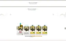 Conta Wakfu muito boa
