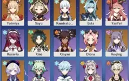 Yoimiya + Harpa + Eula + Ayaka + Raiden + Xiao + Keqing etc.