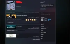 STEAM CS:GO PRIME + 100 Horas de CS + Nivel 25