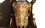Chapéu de Sallet Caveira Coração de Veado The Elder Scrolls
