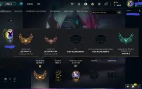 Smurf Top, 43 Champs E 10 Skins