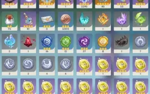 Neuvillette C1 + Bis Furina Zhongli Raiden Nahida Wanderer++