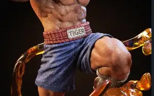 Sagat  Street Fighter stl 3d