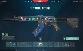Conta valorant com 2 mil gastos