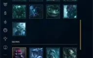 CONTA MAIN RIVEN COM BASTANTE SKINS