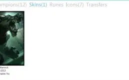 CONTA LV24 12 CHAMPS 1 SKINS