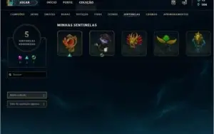 Conta Prata Vários Champse Skins