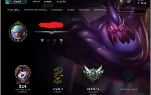 Conta Prata Vários Champse Skins