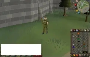 CONTA RUNESCAPE OLD SCHOOL, PURE, F2P