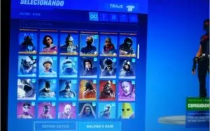 Conta Fortnite ( Pc e Celular apenas ) Wonder,Minty