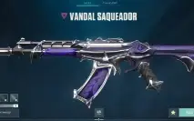 Conta de valorant | faca e Vandal Saqueadora, Skins de passe