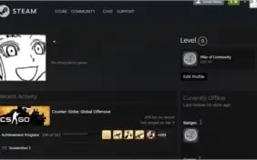 Conta CSGO Medalha 2017 e Prime