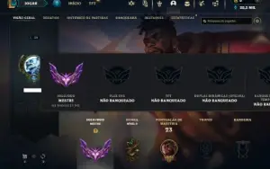 Mestre com 25 Champs e 1 Skin + 14 Fragmentos