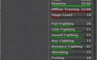 Tibia Royal Paladin 89 + Elder Druid 49