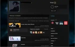 Conta steam level 32 - lvl 5 faceit SEM PRIME!