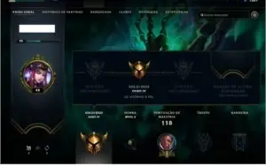 CONTA GOLD 4, SKINS.