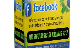 Impulsione Seu Negócio no Facebook Agora