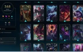 Conta D4 - 368 SKINS/416 CROMAS
