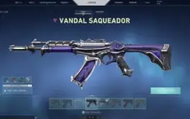 Conta Valorant Muitas Skins Barata