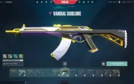 Conta do valorant com skin