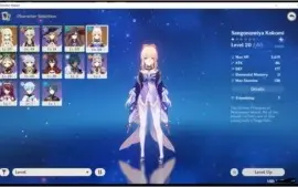 AR 16 Kokomi + Mona server Asia