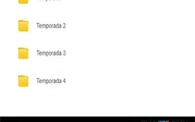 Série Animada Os Castores Pirados