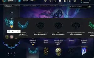 Platina 35PDL +/-