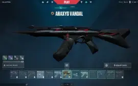 Conta Com Muita Skin Full Acesso! Preço Bom!