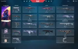 Conta Com Muita Skin Full Acesso! Preço Bom!