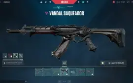Conta Valorant 40 Skins+ 4 Facas Elo Platina 2 Lv: 115 Rgx 1