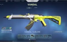 Conta desde o Beta com investimento de R$1000,00 em skins.