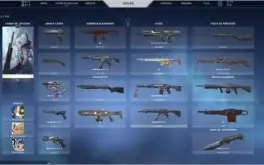 conta valorant com algumas skins e platina 1