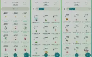 Conta lvl 43 com xp para o 50