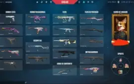 Conta valorant algumas skins pra sair rapido