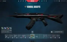 Conta valorant algumas skins pra sair rapido