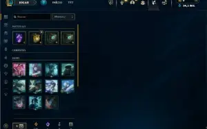 Mestre com 25 Champs e 1 Skin + 11 Fragmentos