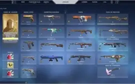 Conta Valorant- Varias skins Prata 2