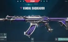 Contas valorant skin