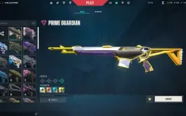 Conta Valorant platina com muitas skins
