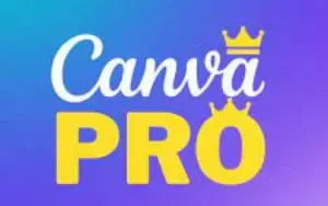 ✅Painel Canva Pro ✅Administrador de acesso total
