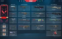 Conta valorant ex dima 1 com mais de 700 reais gastos