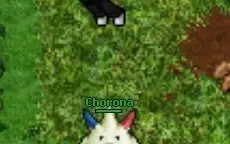 OTPOKEMON XY