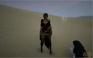 Conta Blackdesert 120 dias de Pacotes e 11 Trajes