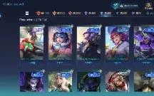 Conta mobile legends lv 49 muitas skin e heróis